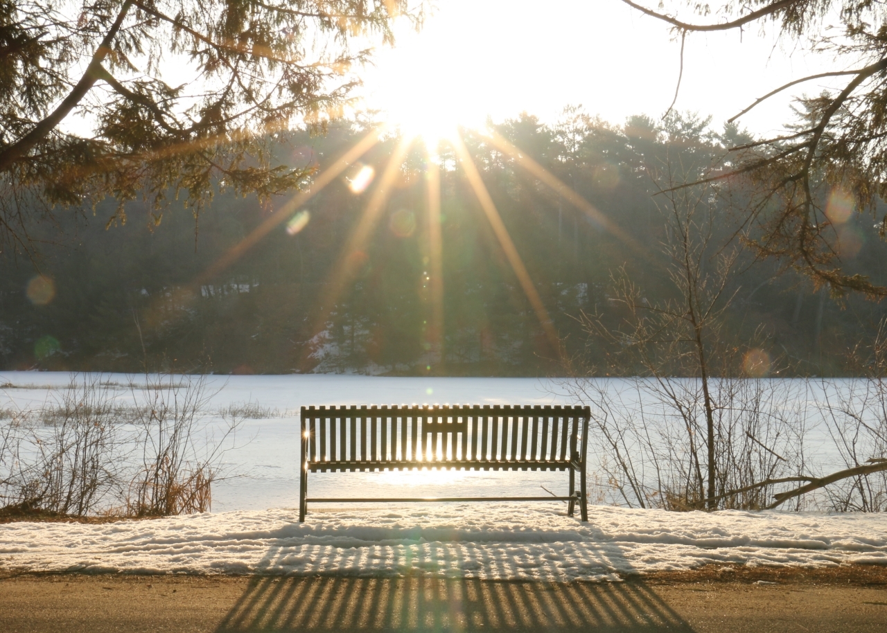 bench in front of a field with snow on the ground, sun in shining brightly